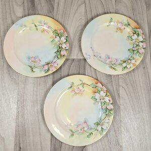 LHS Hutschenreuther Selb Bavaria Plates( LOT of 3) 7.75" Signed Dogwood Vtg